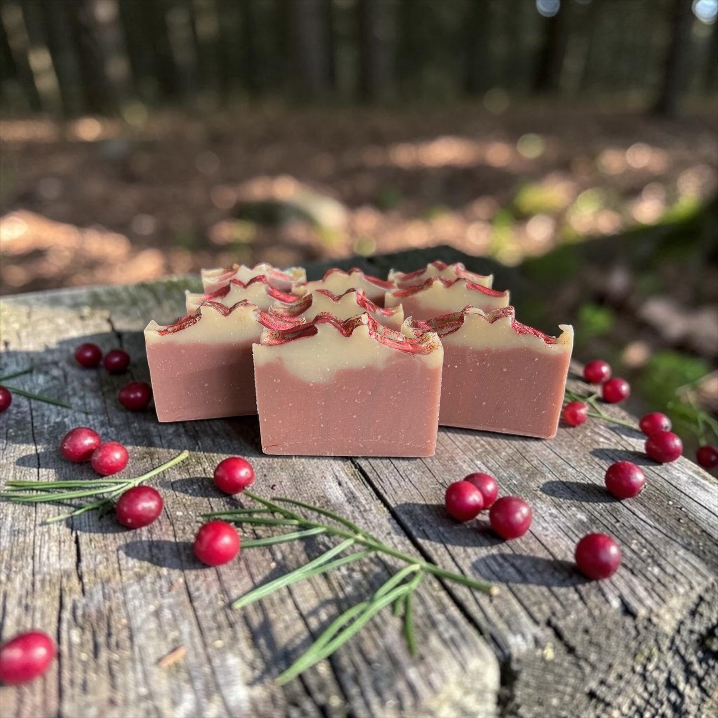 Cranberry Bubbly Soap